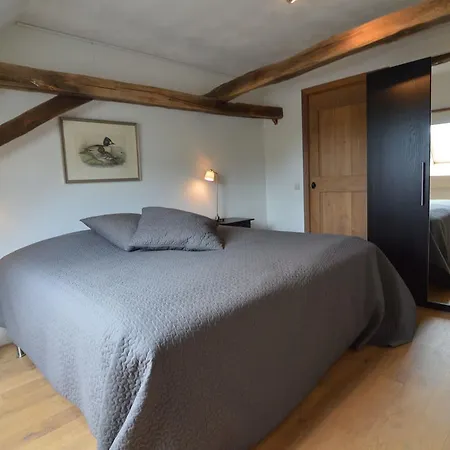 Spacious Farmhouse In Geesteren Near Lake
