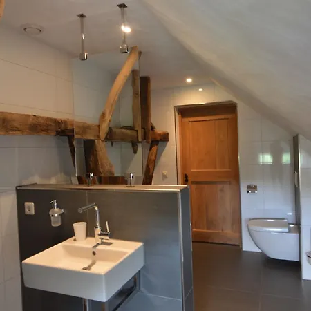 Spacious Farmhouse In Geesteren Near Lake Beltrum